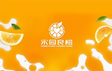 某良橙——金华LOGO设计